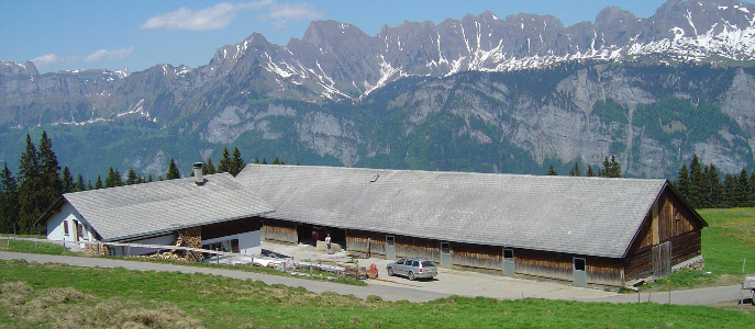 alpbilder