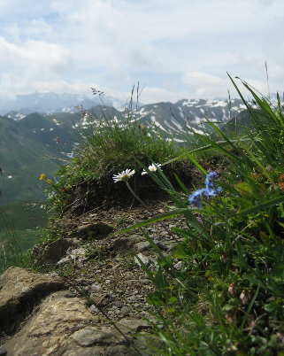 wegbild